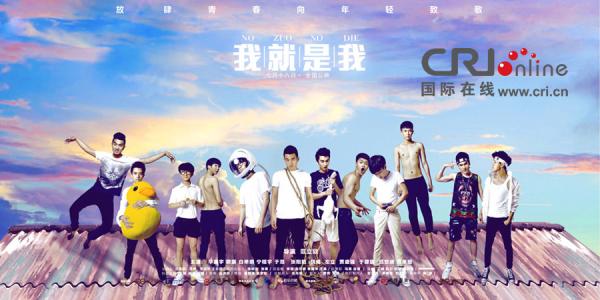 史迪尔门学院 Diploma